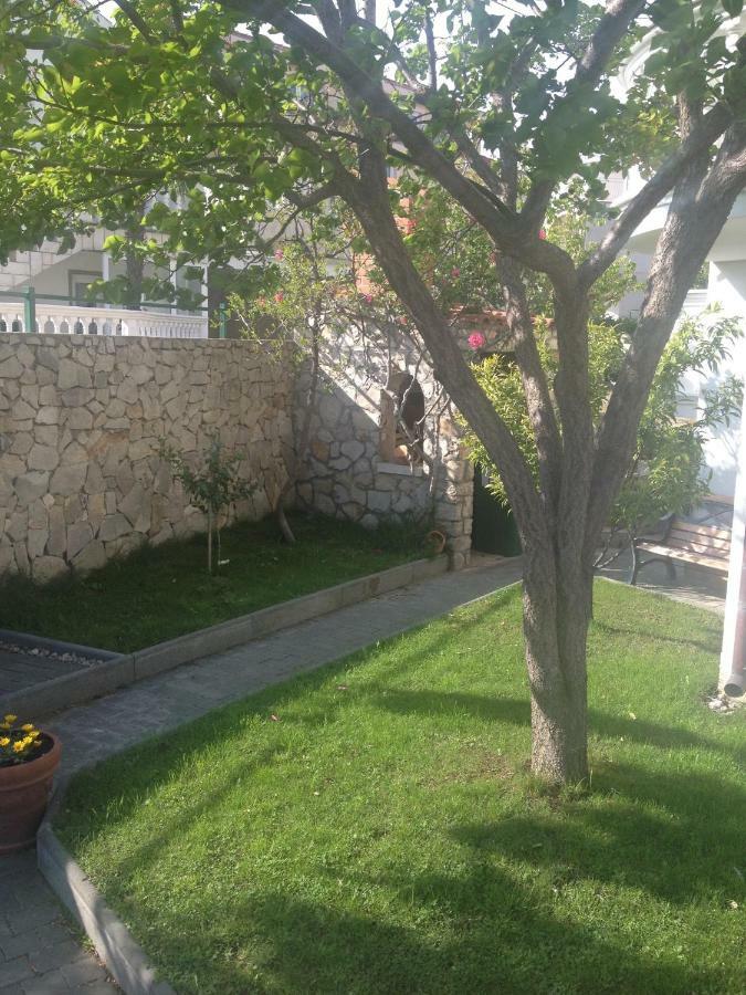 Apartmani Vukicevic Водице Екстер'єр фото